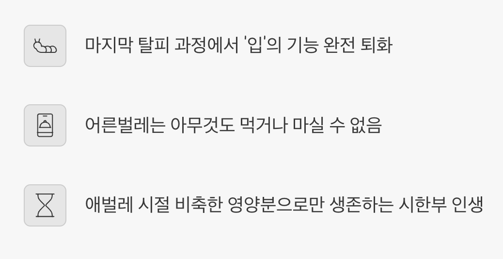 먹지 못하는 슬픈 어른벌레