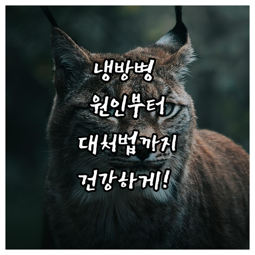 냉방병 원인부터 대처법까지: 시원한 ..