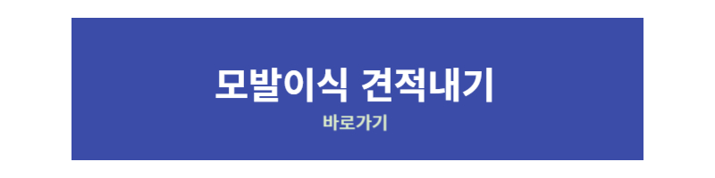 모발이식 견적내기 바로가기