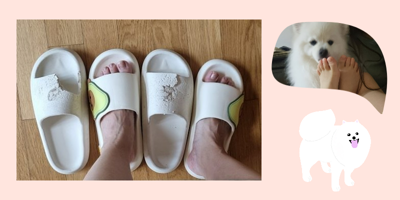 발냄새 좋아