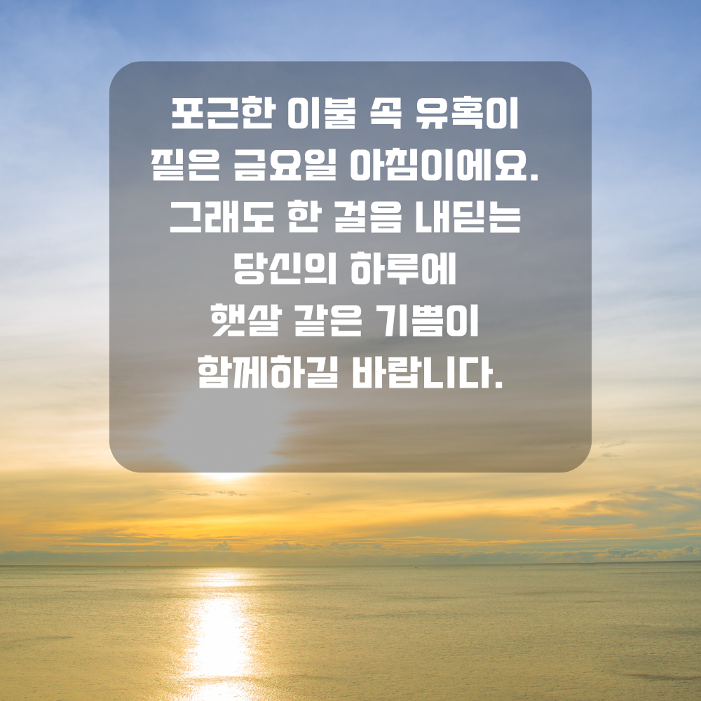 행복한 금요일 아침 인사말 문구 이미지 인사글 모음