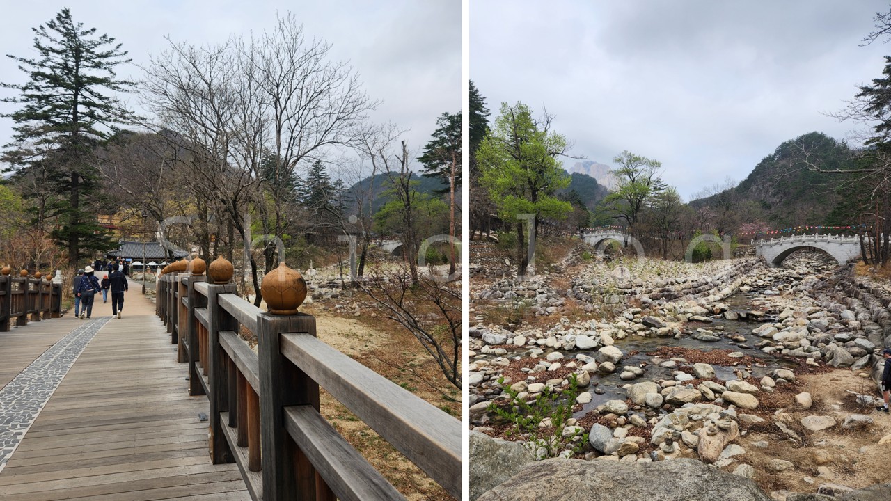 설악산의 맑은 계곡 위로 놓여 있는 신흥사 진입로인 고즈넉한 나무다리의 전경
