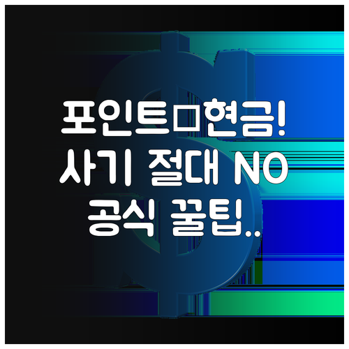 신용카드 포인트 현금 전환 사기 없이..