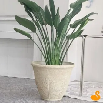 거실 큰화분 배치요령 물주기 바퀴받침 이동 어르신도 안전하게_11