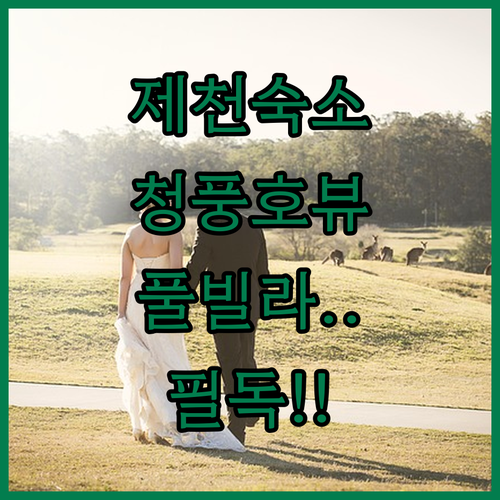 제천 여행 숙소 예약 전 확인하는 청..