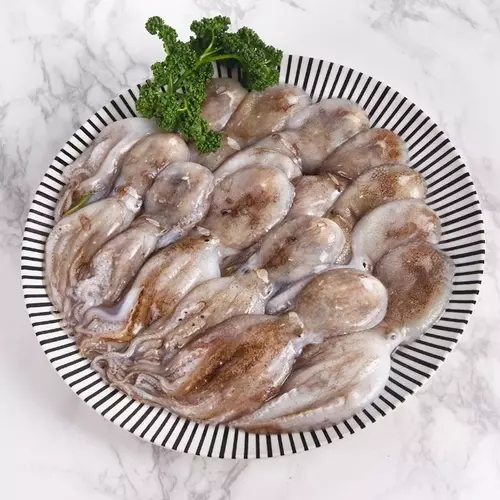 세팅 된 주꾸미 사진