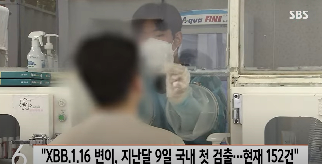 변이 코로나 바이러스 눈병