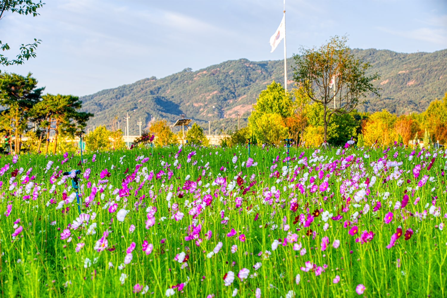 구리 한강공원- 19