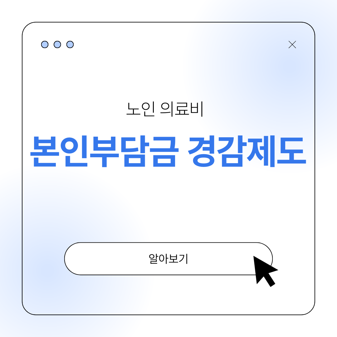노인 의료비 본인부담금 경감 제도