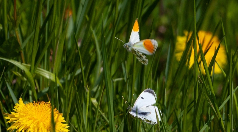 시공 사례 소개
