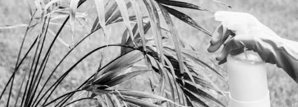 아자디라크틴 = 해충 방제