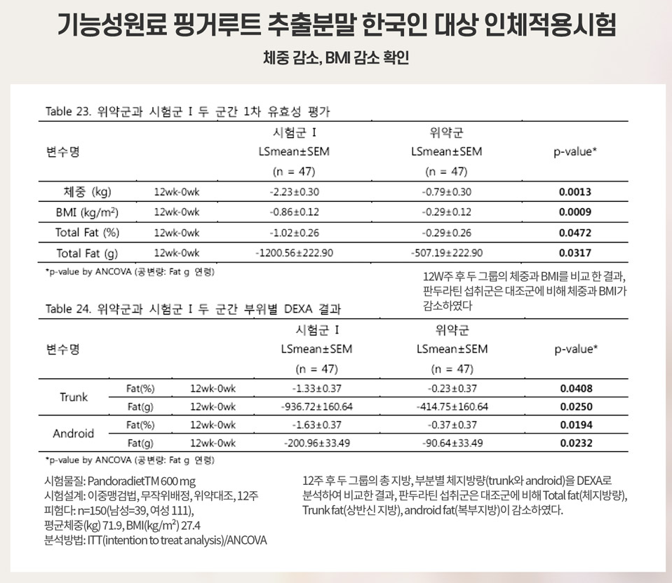김오곤 다이어트 신비감 프리미엄 골드 가격 효능 후기!