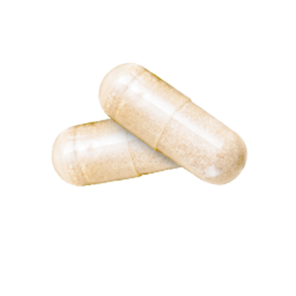 쏘팔메토의 복용 방법과 주의사항