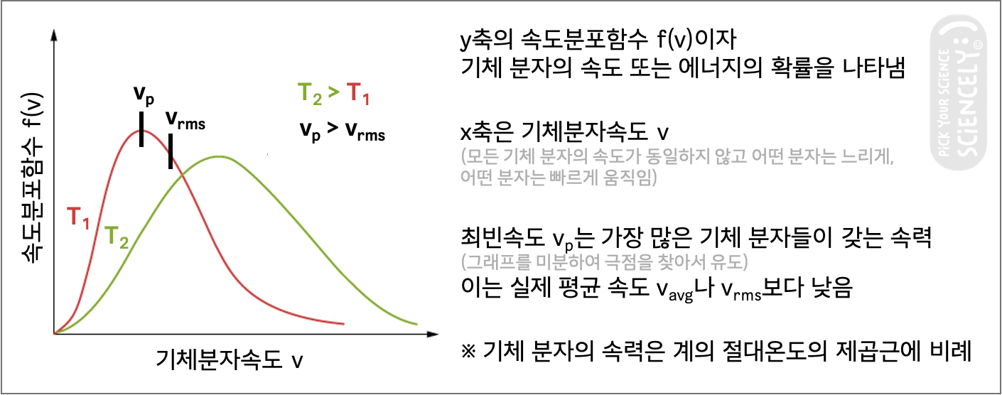 맥스웰-볼츠만 분포는 기체분자운동론에서 어떠한 계 안에 있는 기체 분자의 운동을 설명합니다. 계의 절대온도가 높을수록 그래프는 오른쪽으로 치우치는데, 이는 기체 분자들의 평균 운동에너지가 더 높고 그래서 더 빠르게 움직이기 때문