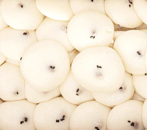 한국의 떡 종류 술떡