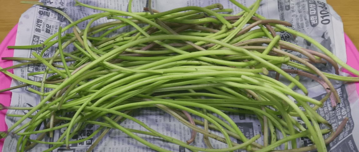 고구마순김치- 담그는 -법-1레시피