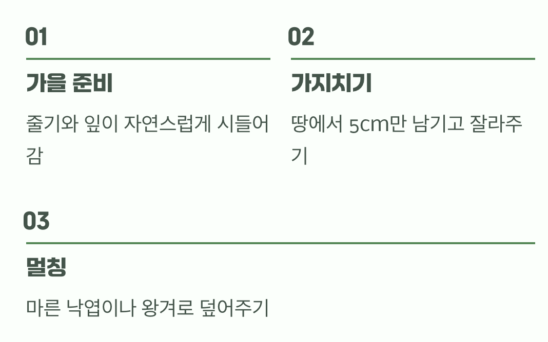 추운 겨울을 이겨내는 지혜