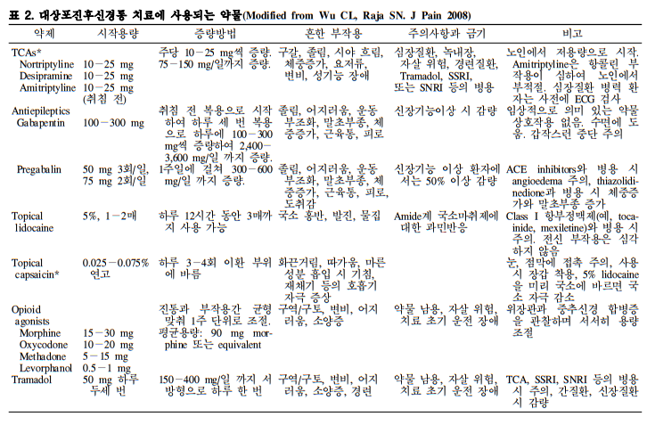 대상포진후 신경통 약물