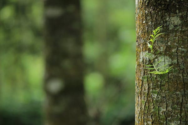 AI를 활용한 사진 보정 및 자동 편집 방법 – 전문가 수준의 사진을 쉽게 만들기