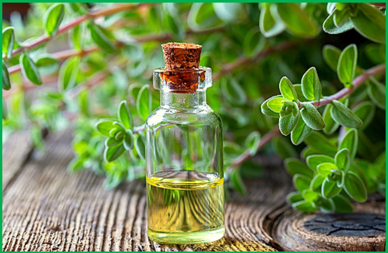 에센셜 오일과 아로마 향기 요법