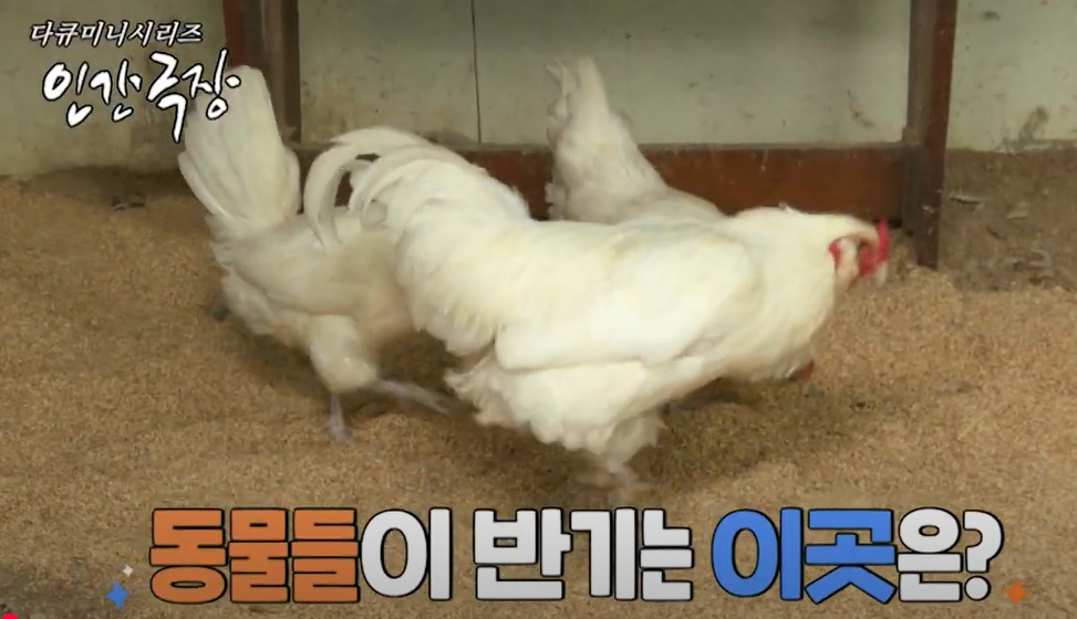 인간극장-데레사의꽃밭