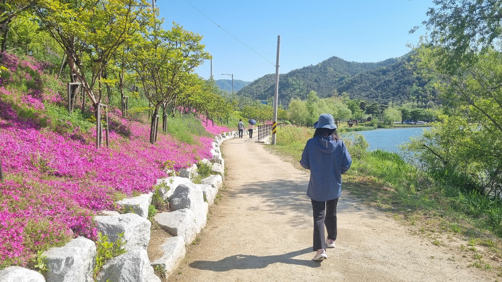 옥연지 송해공원32