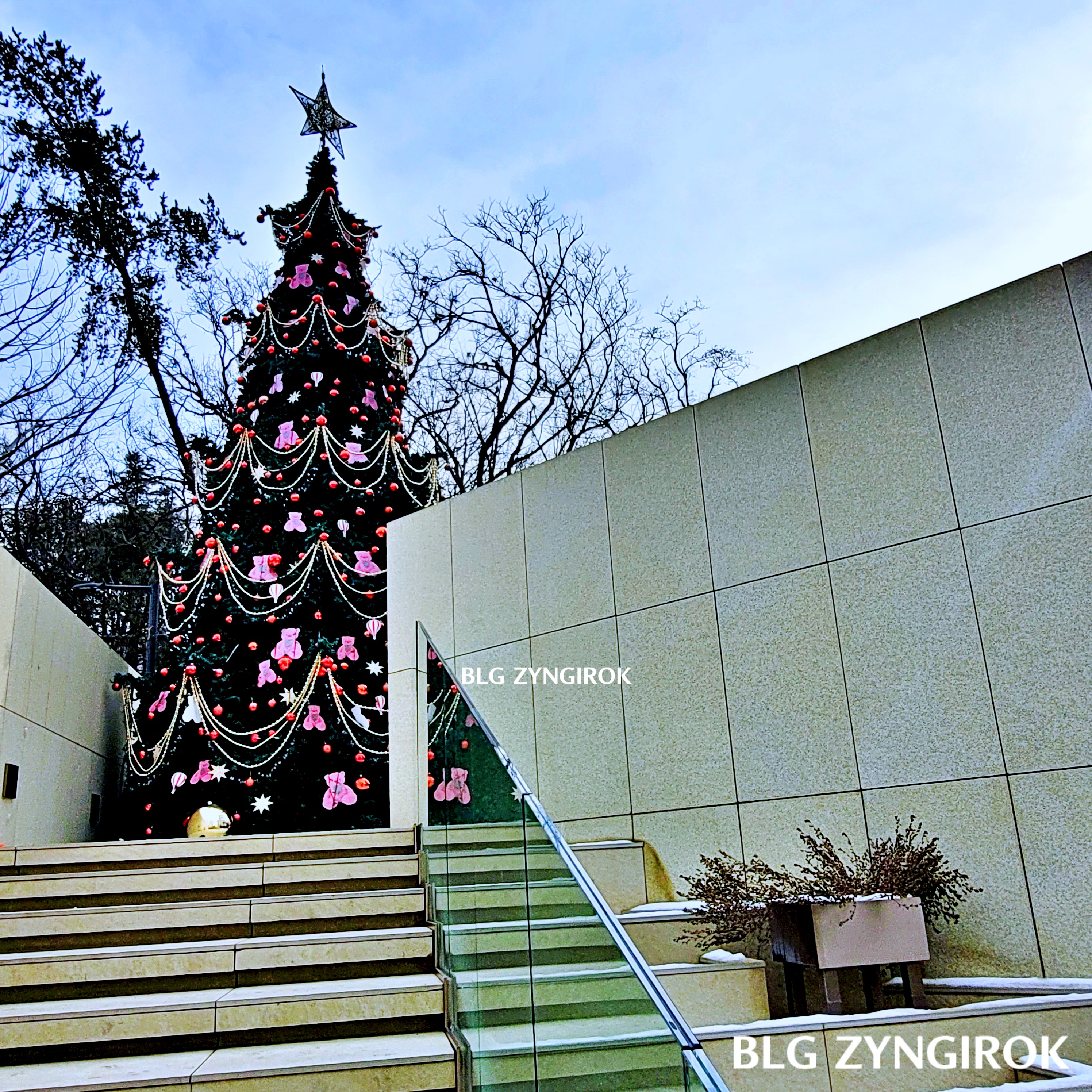 아나키아 입구 계단 모습이다.
