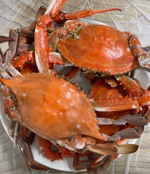 2025 군산 신시도 1박 3식 밥주는 민박집 가격, 바다만찬·은성·대풍펜션 총정리