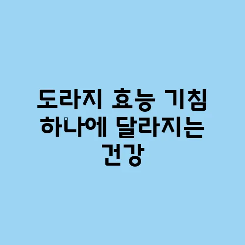 도라지 효능 기침 하나에 달라지는 건강