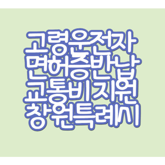 고령운전자-면허증반납-교통비지원