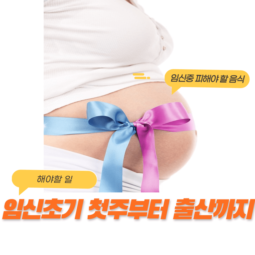 임신 초기 첫주부터 출산까지 해야할 일 (임신중 피해야 할 일)