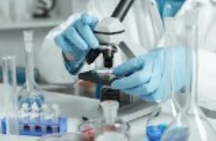 임상 병리학적 소견 사진