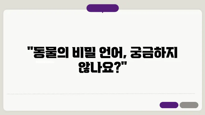 동물 행동학: 동물들은 어떻게 의사소통할까?