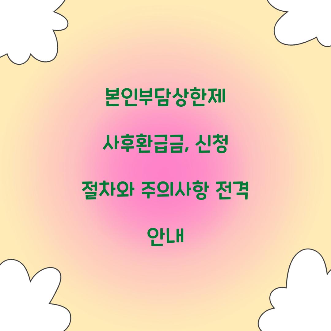 본인부담상한제 사후환급금