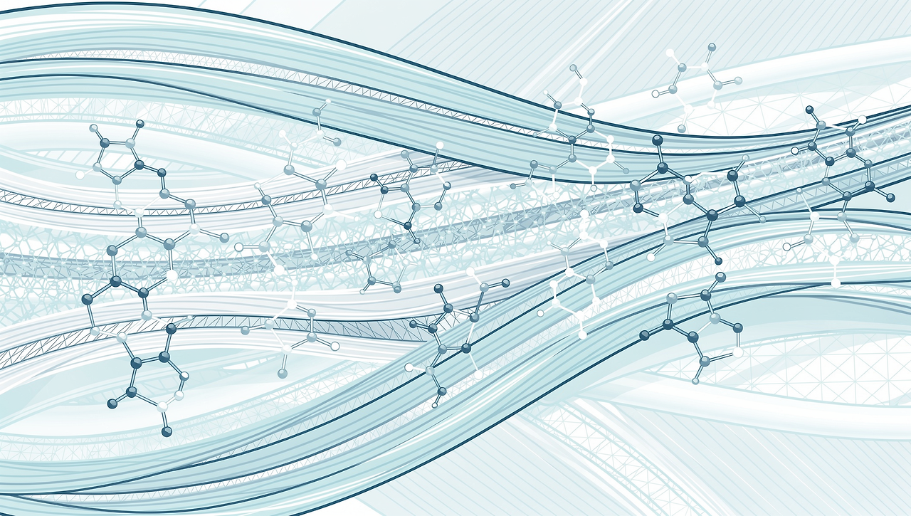 베타알라닌-효능-복용법-섭취량-시간-제품