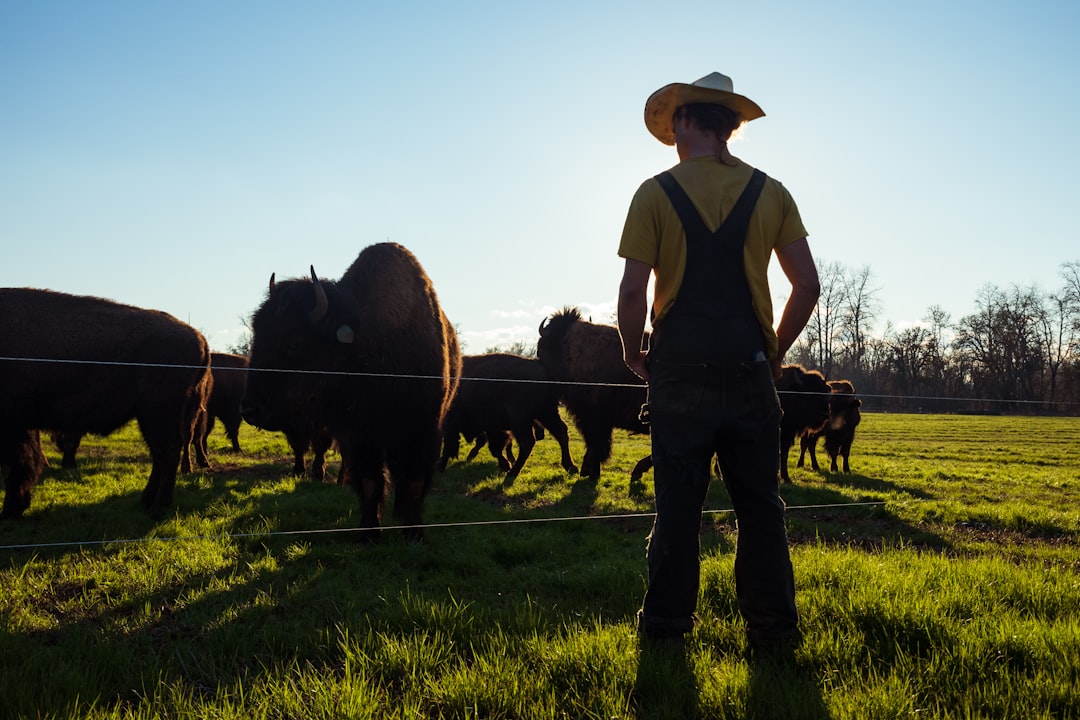 Livestock
