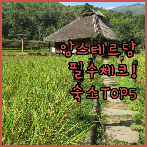 암스테르담 여행 숙소 5곳 핵심 편의..