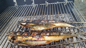 관절에 좋은 음식 BEST5