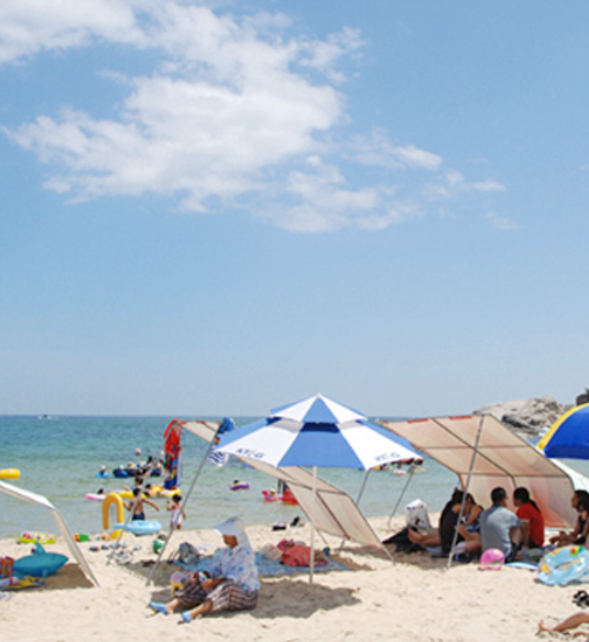 2024 부산 해수욕장 개장일