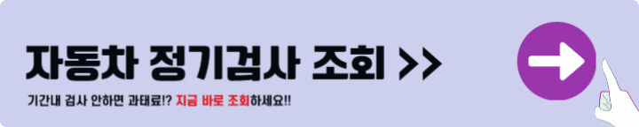 자동차 정기검사 조회