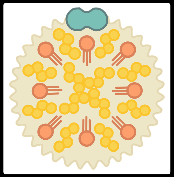 콜레스테롤 낮추는방법