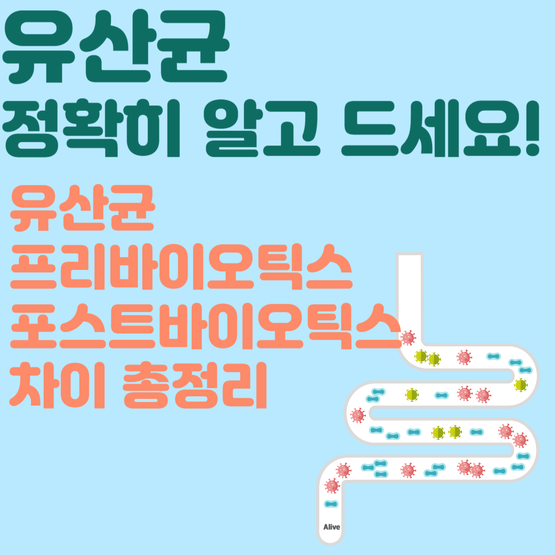 유산균 차이 총정리