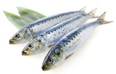 멸치의 영양과 효과 효능