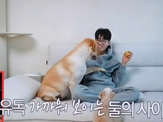 이강태 프로필 전참시 이강태 유튜버 포켓멍센터