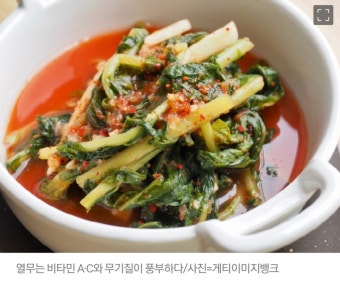 열무김치