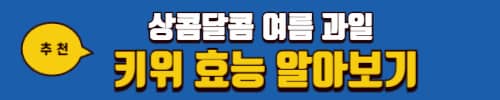 햇빛 알레르기