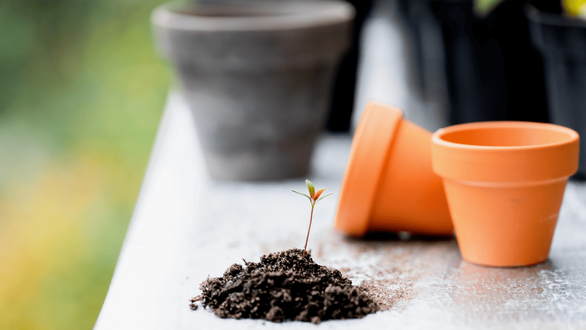 근로장려금_신청_자격_13