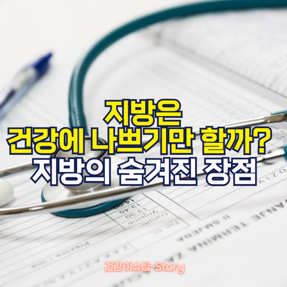 지방의 숨겨진 장점 5가지!