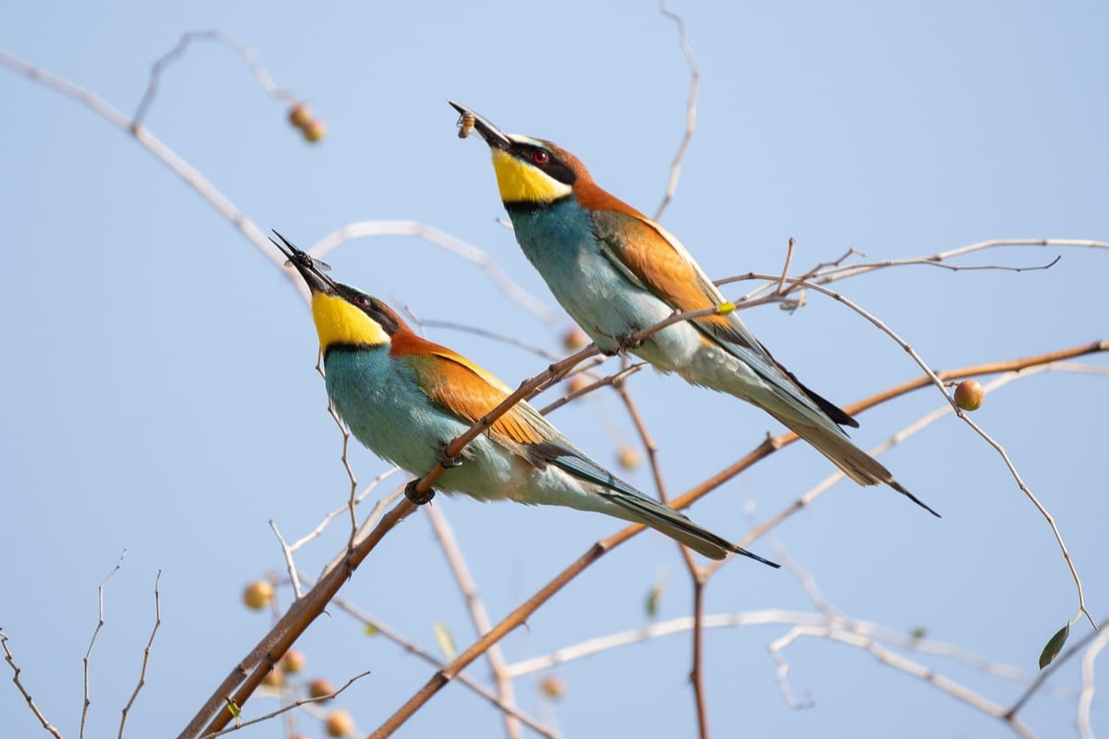 카오스 시스템에서의 피드백 루프