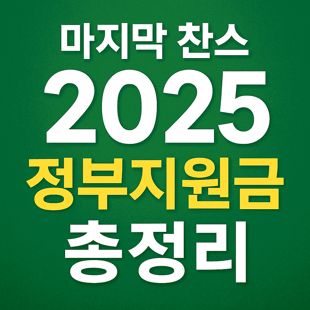 마지막 찬스 2025 정부지원금 총정리